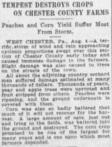 "Tempest Destroys Crops on Chester County Farms," Evening Public Ledger (Philadelphia), August 4, 1915, page 2. Library of Congress, Chronicling America. Public domain.